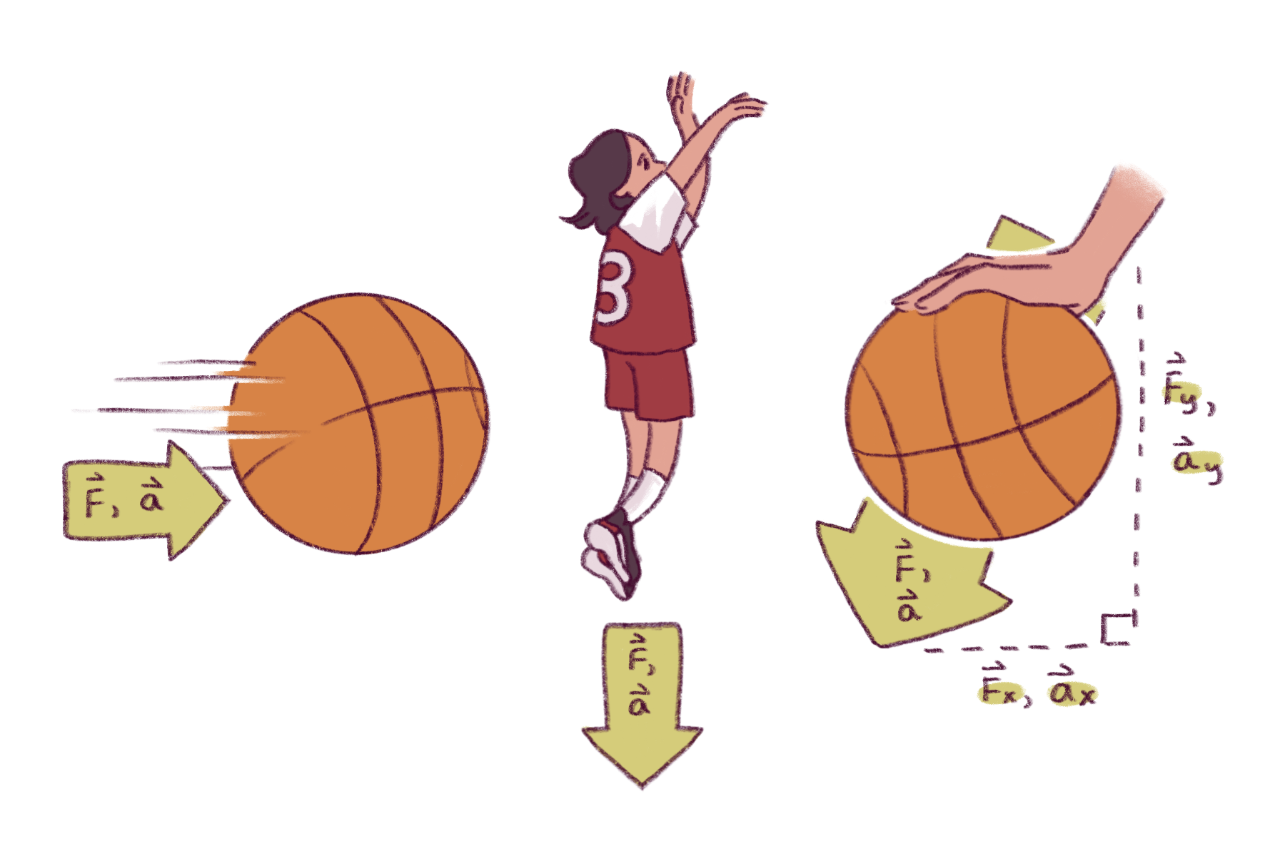 newton-s-2nd-law-of-motion-physics-of-basketball-uw-madison