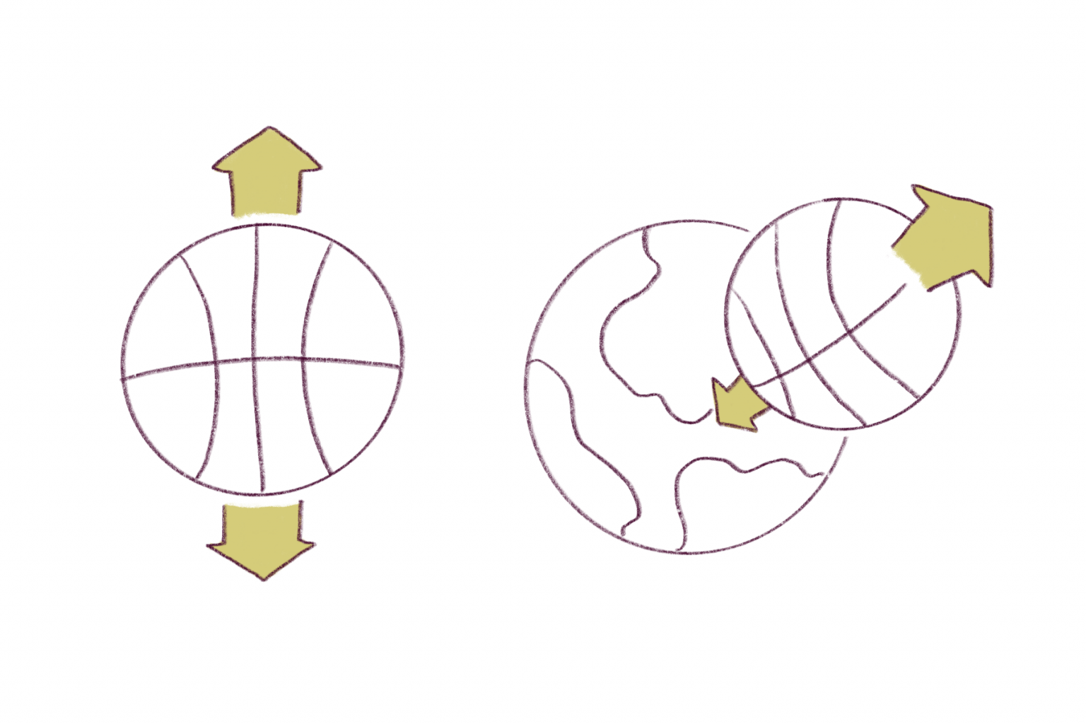 Newtons 3rd Law Of Motion Physics Of Basketball Uwmadison 7451