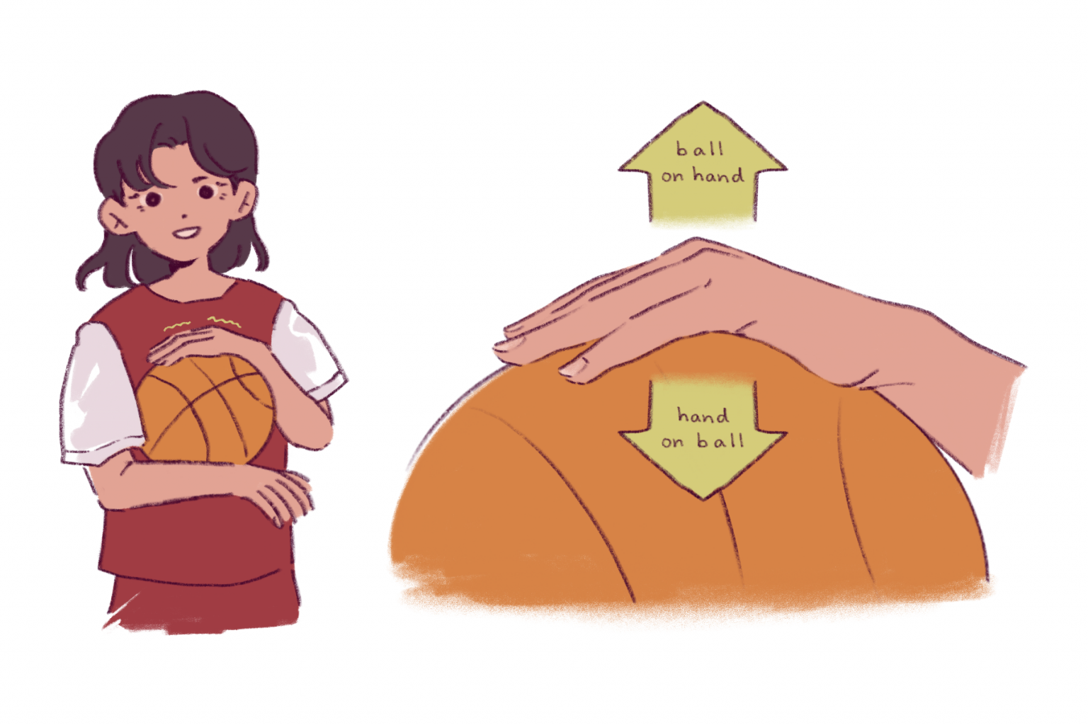 Newton’s 3rd Law of Motion Physics of Basketball UWMadison