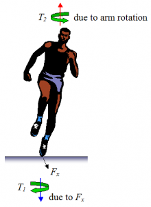 Rotational Forces Exerted on the Body – Physics of Running – UW–Madison